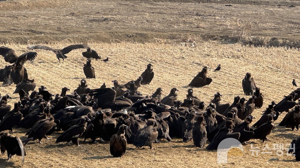 (사진 우다영 기자)/뉴스펭귄