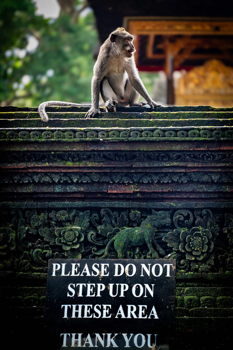 (사진 The Nature Photography Contest 2024)/뉴스펭귄