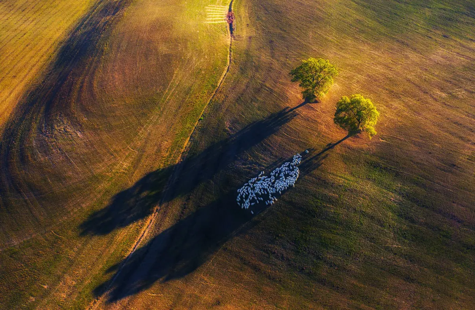 (사진 The Nature Photography Contest 2024)/뉴스펭귄