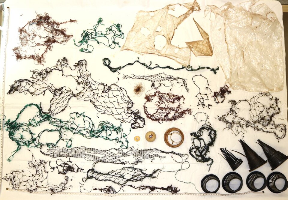 하와이 향유고래 부검 결과 그물, 비닐봉지, 낚싯줄 등 다양한 플라스틱 폐기물이 발견됐다. (사진 Hawaii Department of Land and Natural Resource, 본사 DB)/뉴스펭귄