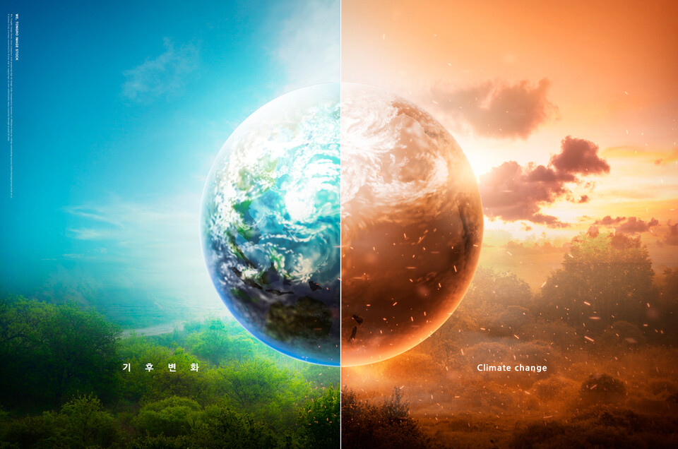 1960년대 이후 이미 지구상 열대우림의 1/2 이상이 사라졌고, 아마존 열대우림의 2/3가 불태워 사라졌다. (사진 클립아트코리아)/뉴스펭귄