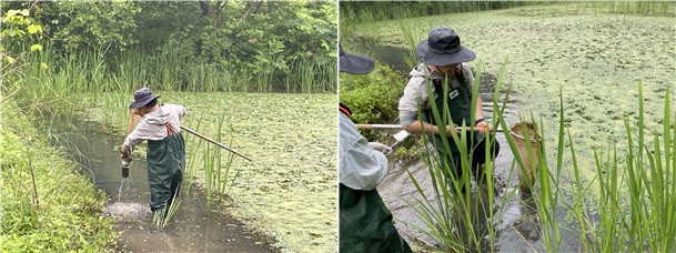 민통선 내에서 미기록 편형동물 4종이 발견됐다. 사진은 이화여대 정종우 교수 연구팀이 조사를 진행하는 모습. (사진 환경부)/뉴스펭귄