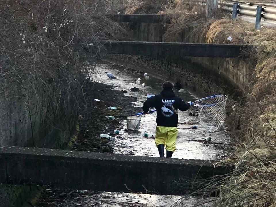 구조 신고가 들어온 야생동물은 조류가 약 76%로 가장 많았고 포유류가 24%로 뒤를 이었다. (사진 경기도 제공)/뉴스펭귄