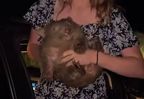 (사진 인스타그램 영상 캡처)/뉴스펭귄