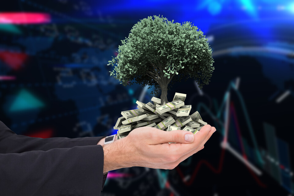 '자연금융'이라는 개념이 국내 새롭게 논의되고 있다. (사진 클립아트코리아)/뉴스펭귄