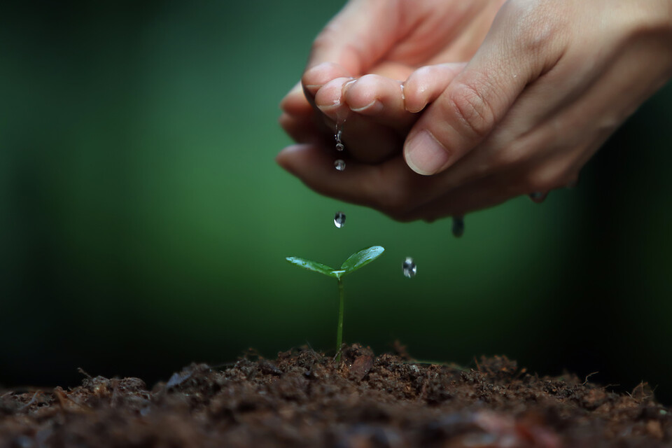  국내 지하수 중 상당수가 마시는 물로는 부적합한 것으로 나타났다. 사진은 독자 이해를 돕기 위한 이미지. (사진 클립아트코리아)/뉴스펭귄