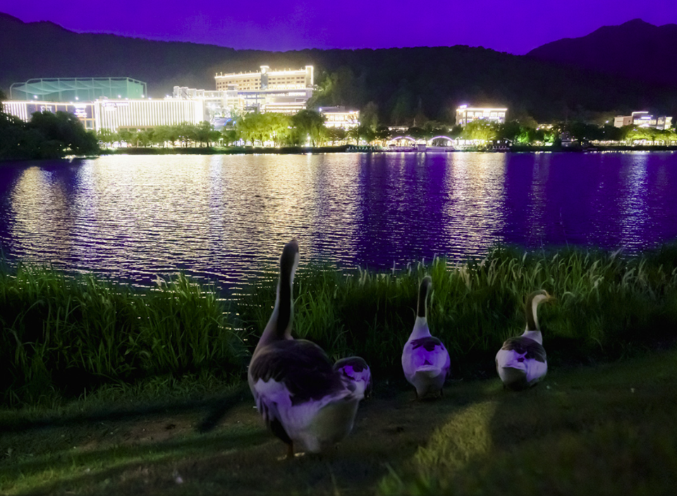 (사진 2024 서울시 빛공해 공모전)/뉴스펭귄