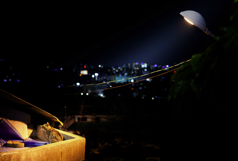 (사진 2024 서울시 빛공해 공모전)/뉴스펭귄