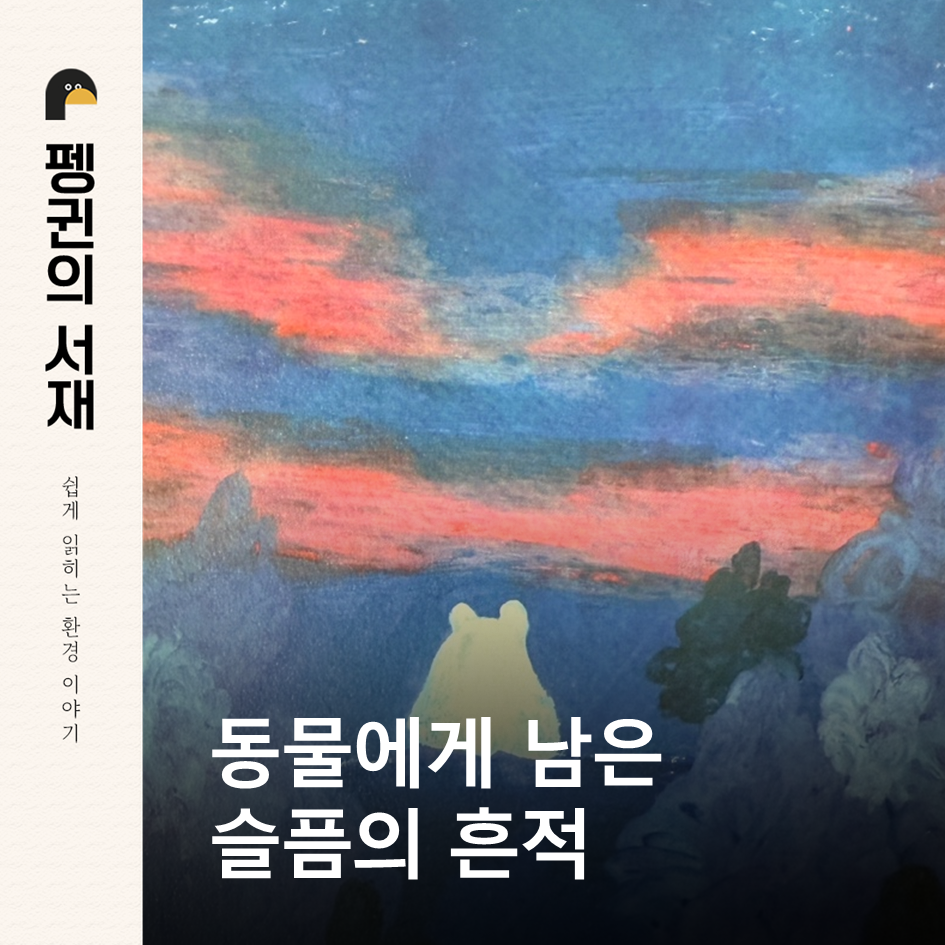 동물은 어떻게 슬퍼하는가 (바버라 J. 킹 지음. 정아영 옮김. 서해문집)