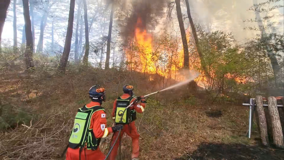 3일째 확산하고 있는 경북 의성군 산불 진화작업이 24일 날이 밝으면서 재개됐다. 사진은 지난 2023년 4월 당시 강원도 강릉시 산불 모습. 독자 이해를 돕기 위한 이미지로 기사 속 장소 등과는 관계없음. (사진 산림청, 본지 DB)/뉴스펭귄