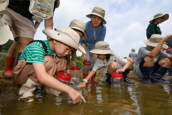 작년 8월 현대모비스는 충북 진천군과 사회적협동조합 한강, 한국민물고기보존협회 등과 충북 진천군 미호강 일대에서 미호종개 3000마리를 방류했다. (사진 현대모비스)/뉴스펭귄