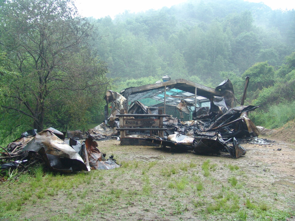 2009년 소똥구리 실험실의 대형 화재 (사진 이강운 대기자)/뉴스펭귄