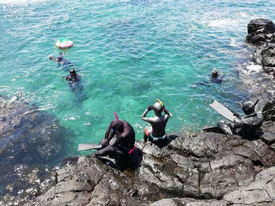 지난 16일 서귀포시 대정읍 신도리 해안에서 수중 정화 활동에 나선 핫핑크돌핀스(사진 핫핑크돌핀스)/뉴스펭귄