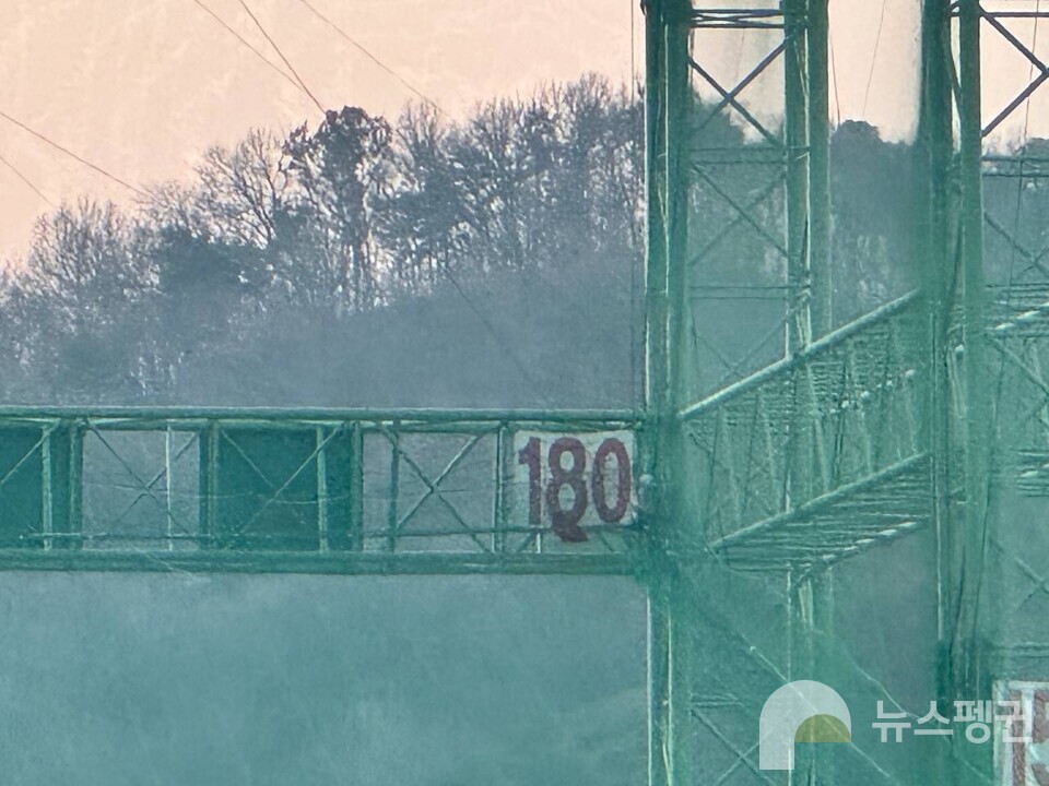 골프연습장 그물망 구석에 고립된 수리부엉이. (사진 충북야생동물센터 제공)/뉴스펭귄