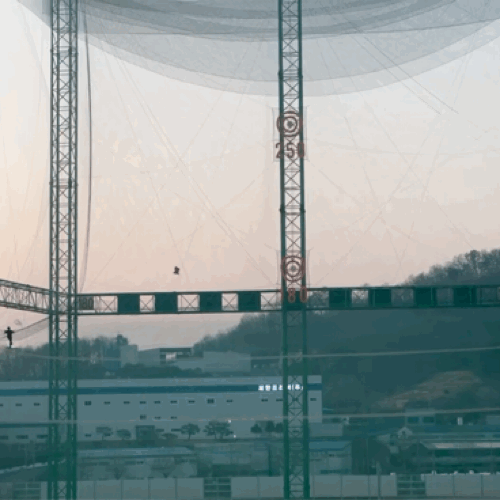 그물망에 부딪혀 바닥에 떨어지는 수리부엉이 (영상 충북야생동물센터 제공)/뉴스펭귄