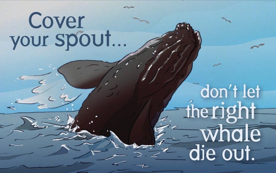 멸종위기종이 그려진 콘돔을 무료로 배포하는 미국 환경 단체가 있다. (사진 The Center for Biological Diversity)/뉴스펭귄