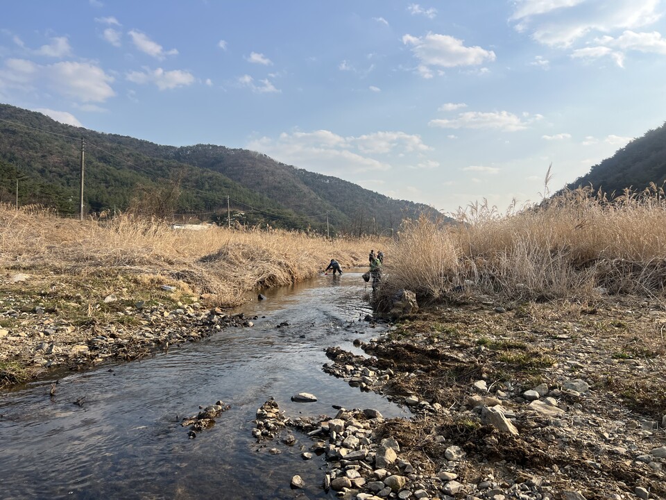 60년 전 멸종한 민물고기를 직접 눈으로 보기 위해 일본의 젊은 민물고기 연구자들이 우리나라 하천을 찾았다. (사진 성무성 물들이연구소 소장)/뉴스펭귄