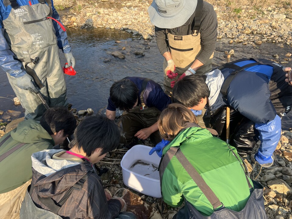 지난달 15일 한일담수어류 연구 발표회에 참가하기 위해 한국을 찾은 일본 민물고기 연구자들은 우리나라 연구자들과 함께 동해안 남부 지역 하천을 찾았다.(사진 성무성 물들이연구소 소장)/뉴스펭귄
