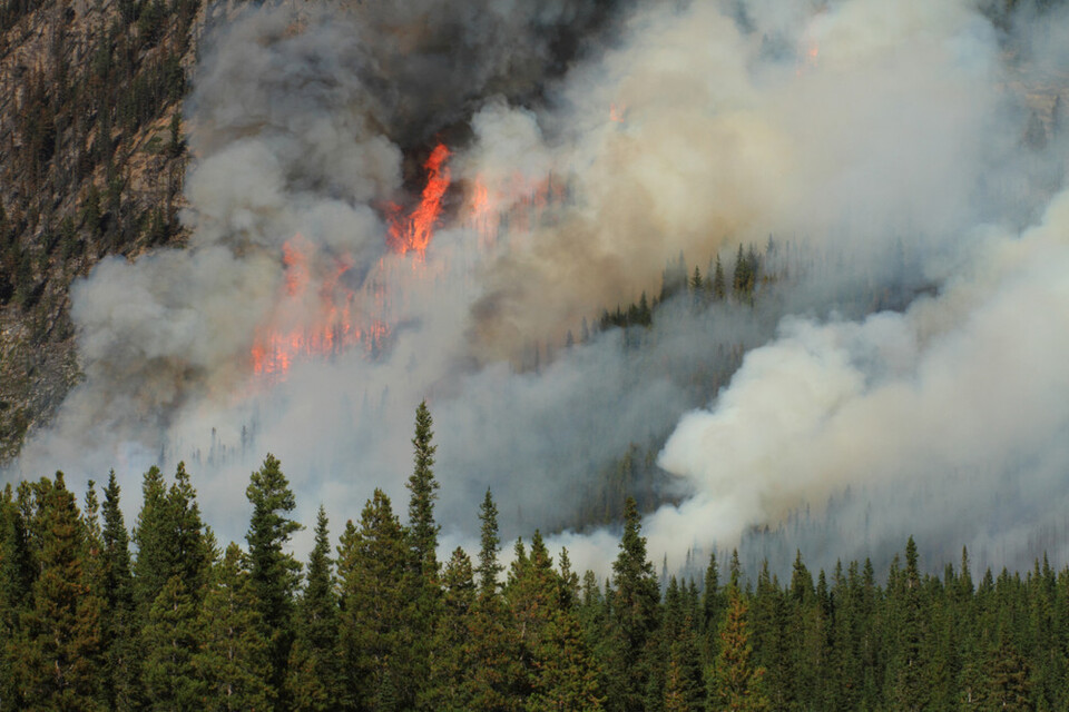 지난 3월 발생한 대형 산불로 약 366만 톤CO2eq의 온실가스가 배출된 것으로 추정된다. 사진은 독자 이해를 돕기 위한 이미지로 기사 특정 내용 또는 지역과 관계없음. (사진 클립아트코리아)/뉴스펭귄