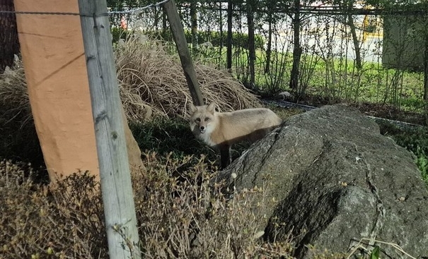 (사진 고양신문)/뉴스펭귄