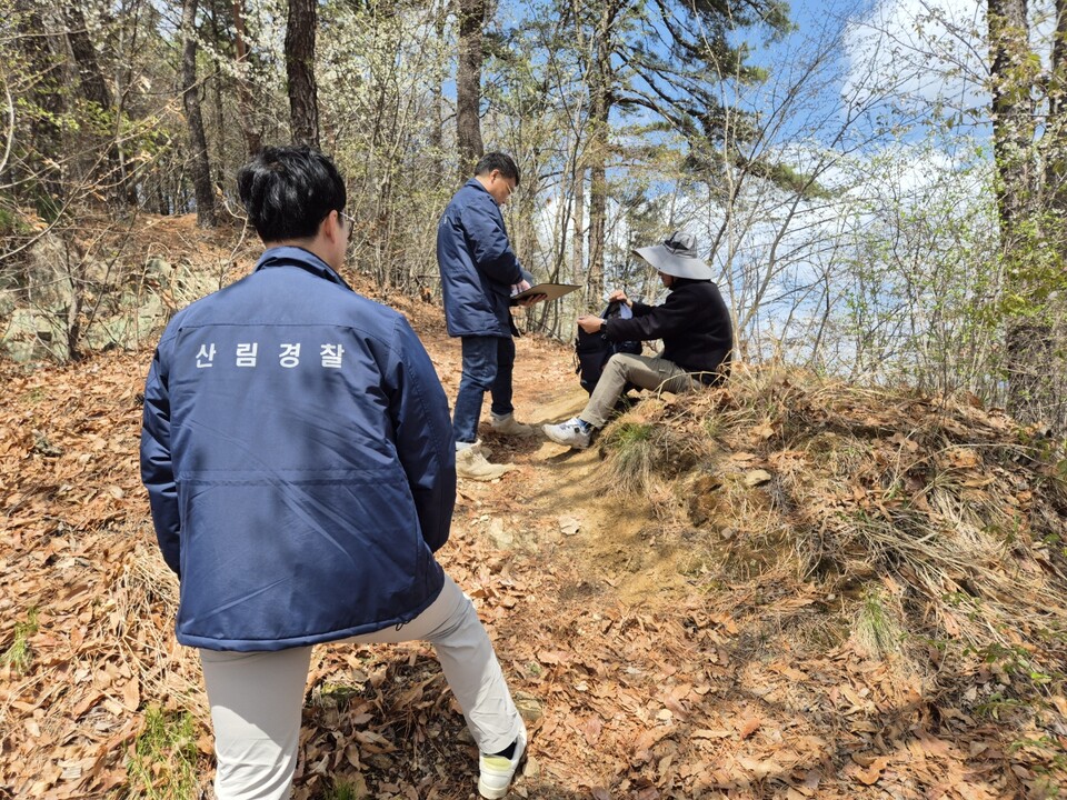 불법 임산물 관련 단속 모습. (사진 산림청)/뉴스펭귄