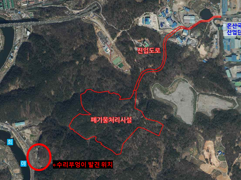 사업예정지와 약 250m 떨어진 거리에서 수리부엉이가 발견됐다. (사진 대양이앤이㈜ 일반폐기물매립시설 설치사업 환경영향평가서 초안 캡처)/뉴스펭귄
