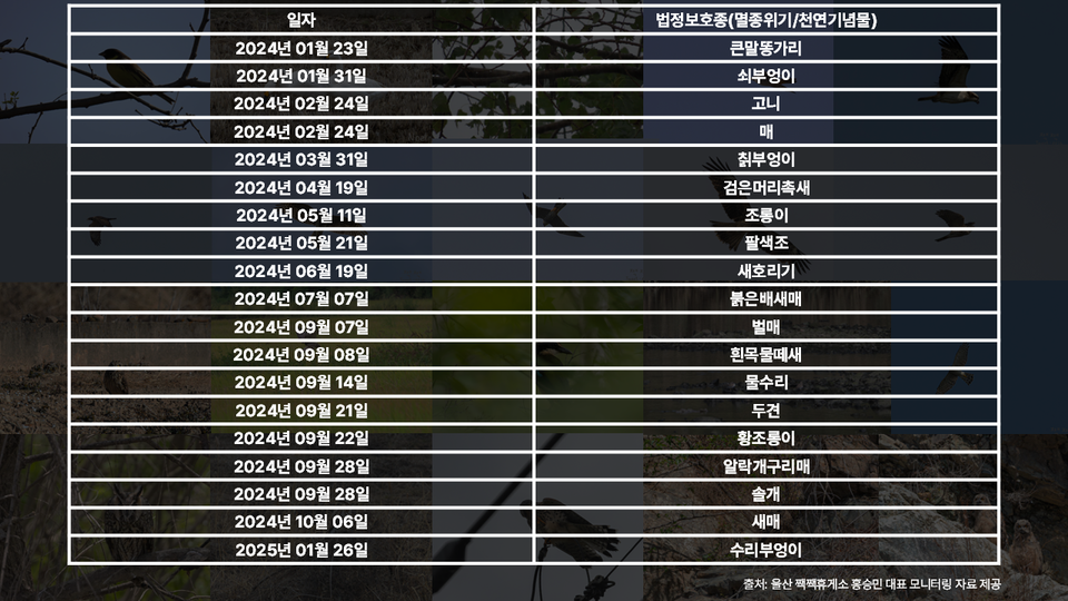 (그래픽 우다영)/뉴스펭귄