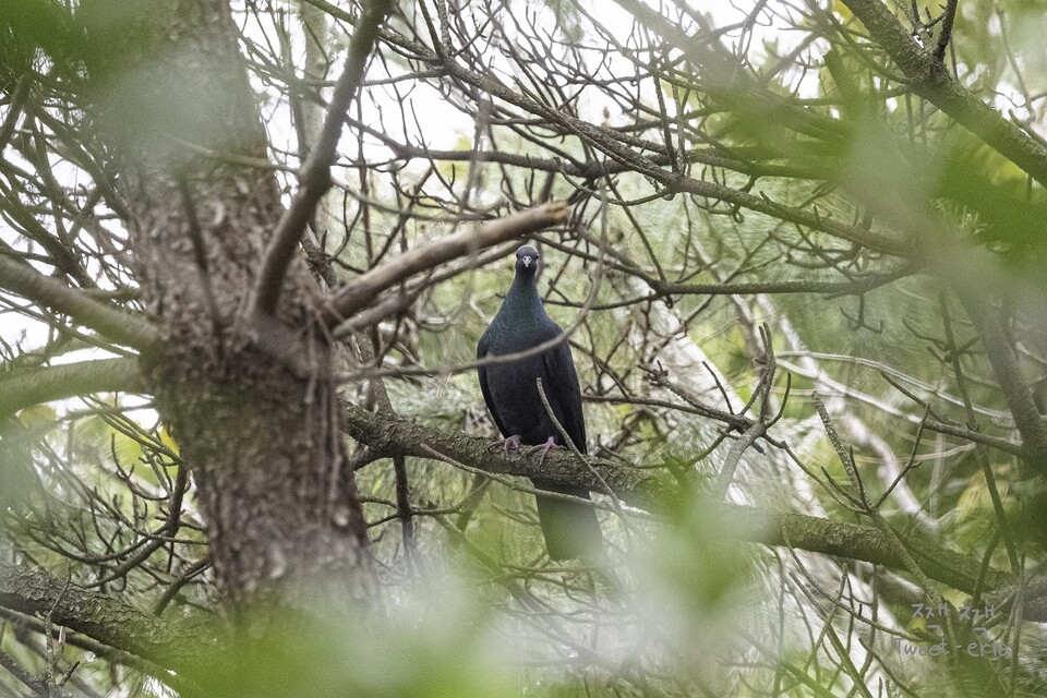 (사진 짹짹휴게소 홍승민 대표 제공)/뉴스펭귄