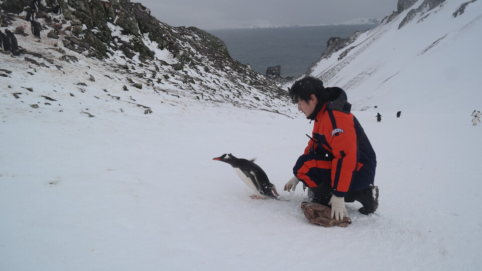 (사진 이원영 박사 제공)/뉴스펭귄