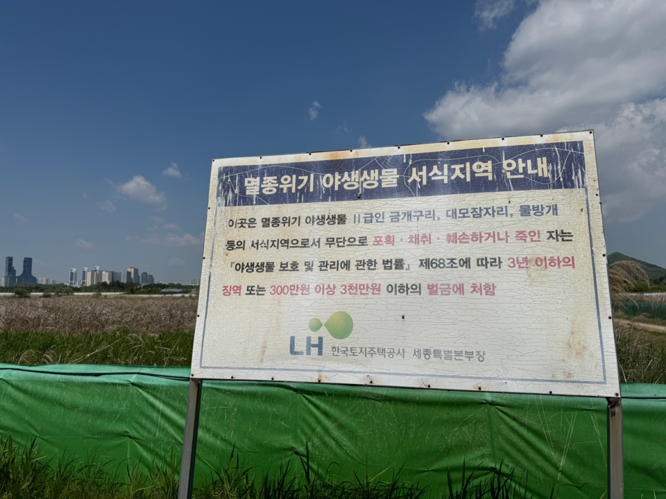 세종중앙공원 부지인 장남들에는 다양한 멸종위기종이 서식하고 있다. (사진 이동재 기자)/뉴스펭귄