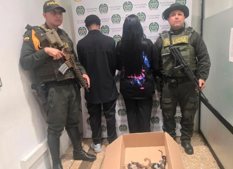 코르나레는 이들이 포획 과정에서 어미 원숭이가 살해됐을 가능성을 제기했다. (사진 코르나레 X 계정)/뉴스펭귄.