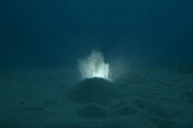 (사진 Angel Fitor - Environmental Photography Award 2025)/뉴스펭귄