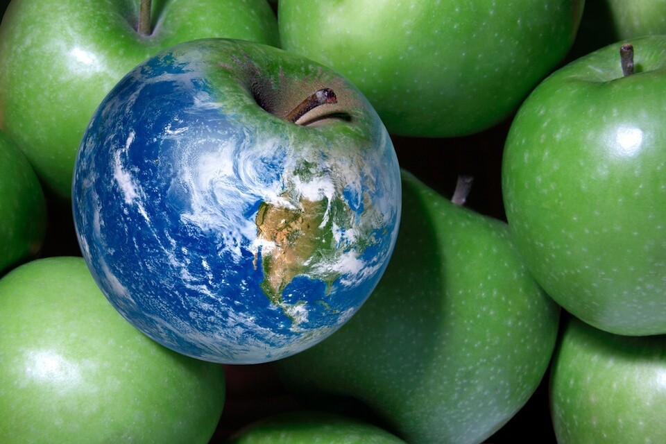 음식료품 업계는 제품 생산부터 유통, 소비까지 전 과정에서 발생하는 배출량을 고려하면 환경적 책임이 결코 작다고 보기 어렵다. (사진 클립아트코리아)/뉴스펭귄