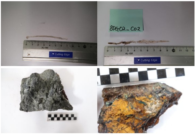 남극 심해에서 유전 정보가 상대적으로 덜 알려진 커다란 플랑크톤과 약 350Kg에 달하는 열수광석이 채집됐다. (사진 극지연구소)/뉴스펭귄