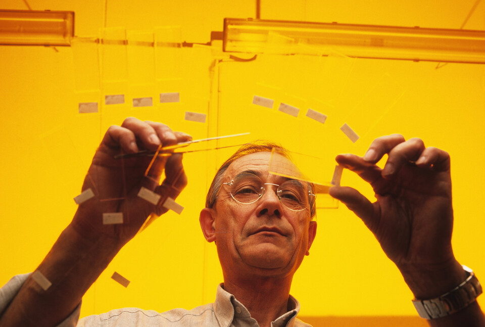 기사 이해를 돕기 위한 사진으로, 내용과 무관함. (사진 클립아트코리아)/뉴스펭귄