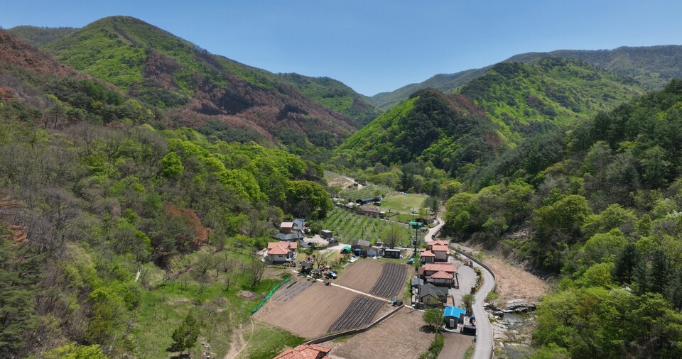 산불 피해가 적었던 주왕산 국립공원 내 너구마을. (사진 그린피스)/뉴스펭귄
