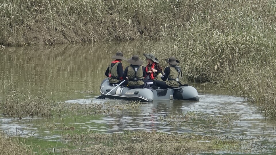 한국남생이보호협회는 서식지 훼손, 밀렵, 자연재해 등으로 서식지에서 이탈해 보호가 필요한 남생이를 구조, 치료하고 증식해 다시 자연으로 돌려보내는 일을 하는 단체다. (사진 남상헌 대표 제공)/뉴스펭귄