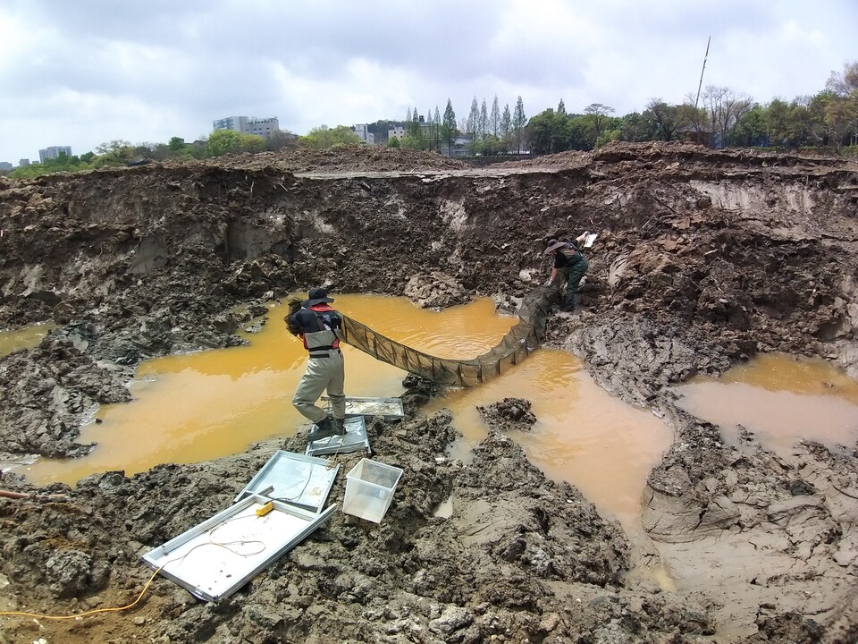 각종 개발 공사와 환경 오염으로 남생이이 서식지가 줄어들고 있다. (사진 남상헌 대표 제공)/뉴스펭귄