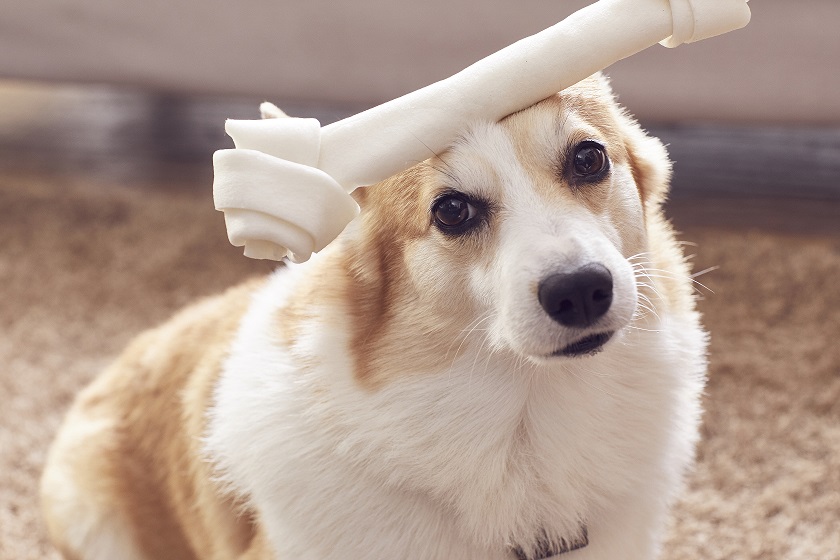 기사 이해를 돕기 위한 사진. (사진 클립아트코리아)/뉴스펭귄