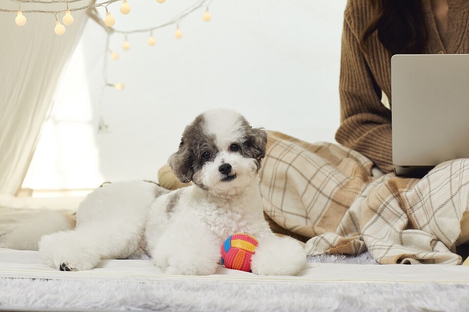 기사 이해를 돕기 위한 사진. (사진 클립아트코리아)/뉴스펭귄