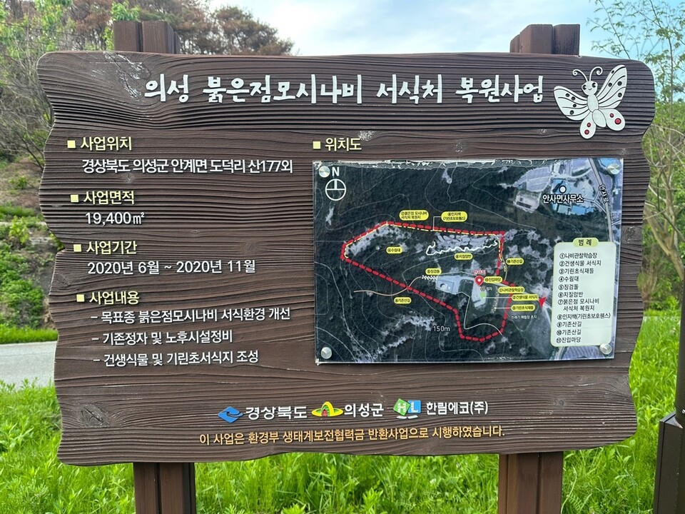 붉은점모시나비 대체서식지. (사진 정수근 대구환경운동연합 사무국장)/뉴스펭귄