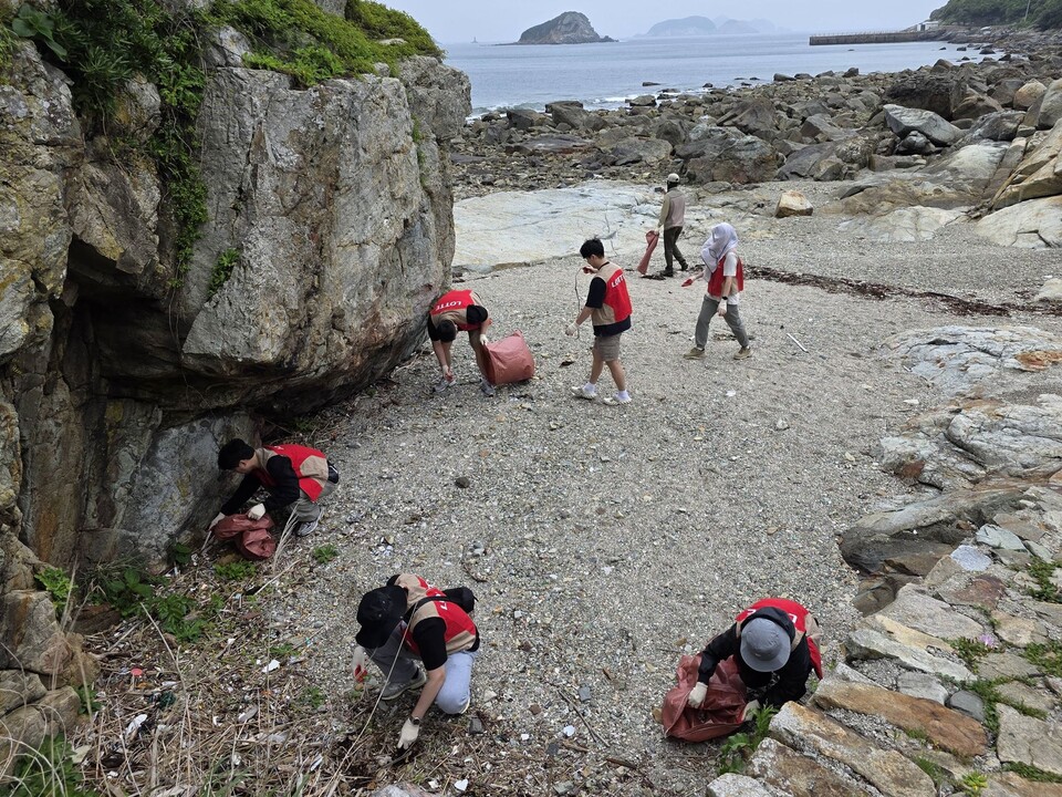 롯데칠성음료 임직원들이 해양 쓰레기를 수거하고 있다. (사진 롯데칠성음료)/뉴스펭귄