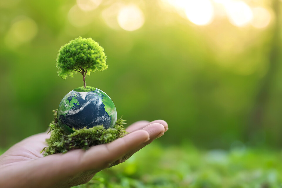 살아가기 위해선 식물이든 동물이든 다른 생명을 먹어야 한다. ‘살고 싶다’는 욕망과 ‘누군가를 먹어야만 한다’는 얽힘을 정직하게 바라보고 윤리적인 관계를 찾으려는 노력이 필요하다는 목소리가 들린다. (사진 클립아트코리아)/뉴스펭귄