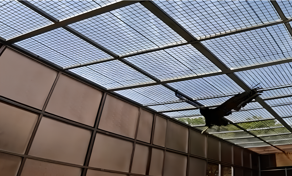 계류장에서 훈련하는 관수리 (사진 부산시)/뉴스펭귄