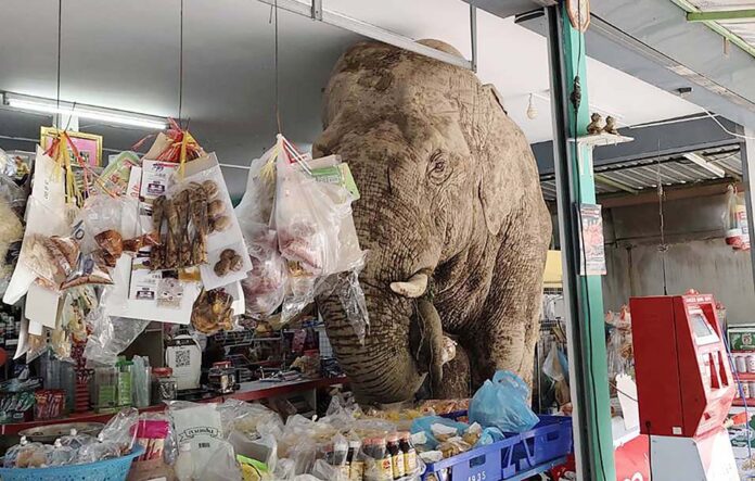 (사진 태국 방콕포스트)/뉴스펭귄