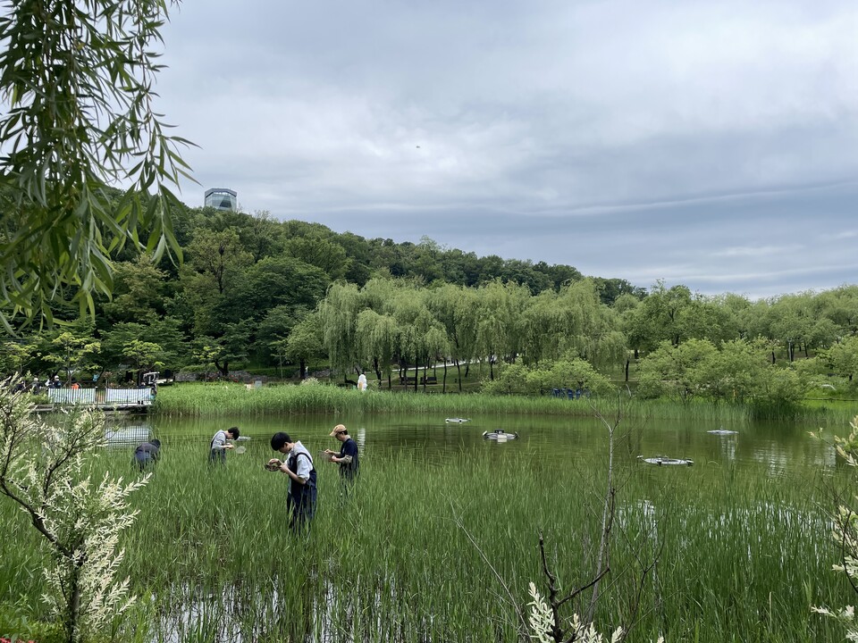 지난 5월, 네이처링이 운영한 생물다양성 탐사에 나선 회원들. (사진 네이처링)/뉴스펭귄