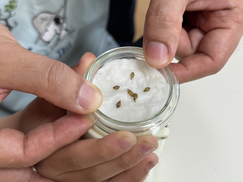 아이들이 지렁이 알을 관찰하고 있다. (사진 우다영 기자)/뉴스펭귄