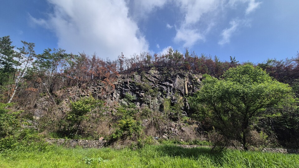 수리부엉이가 발견된 울산 울주군 대운산 절벽. (사진 우한별 씨 제공)/뉴스펭귄