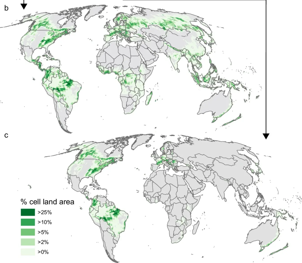 (위)숲 복원 잠재력이 있는 지역과 (아래)지역 주민과 충돌 가능성이 있는 지역을 제외한 복원 최적지를 초록색으로 표시했다. (이미지 Nature Communication - Addressing critiques refines global estimates of reforestation potential for climate change mitigation 발췌)/뉴스펭귄