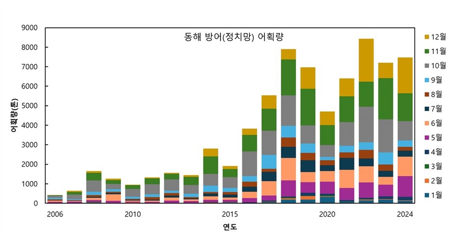 동해 정치망에서 잡힌 방어 어획량 변동. (자료 국립수산과학원)/뉴스펭귄